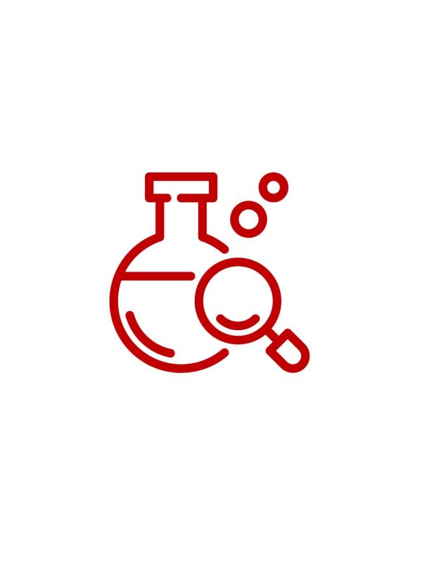 Small molecules CDMO Service